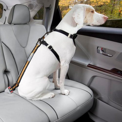 Protection voiture pour chien