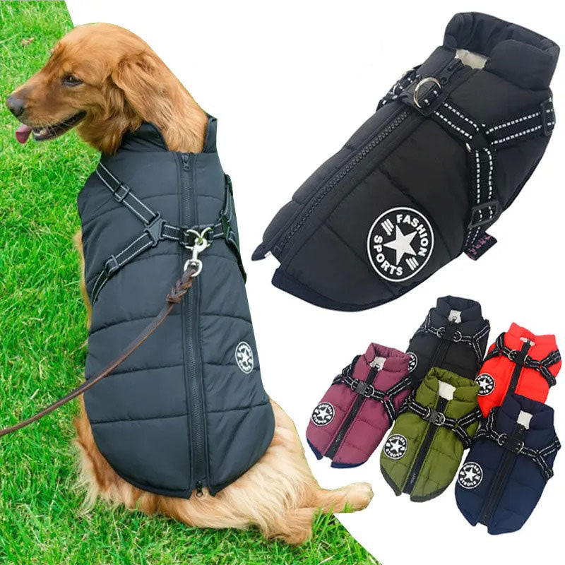 Vêtement\imperméable pour chien