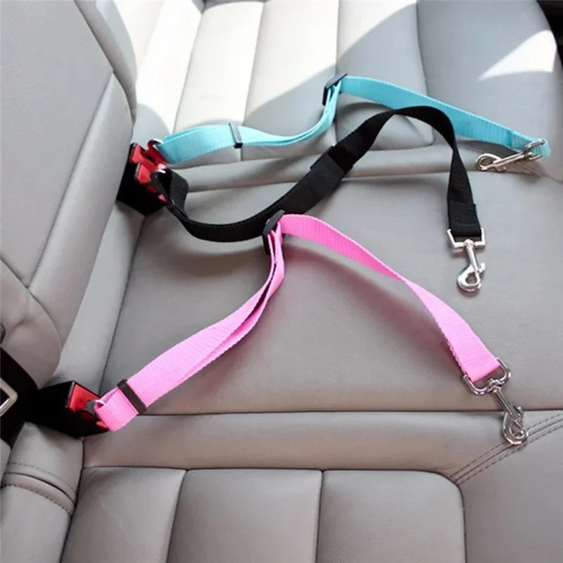 Laisse protection voiture pour chiens