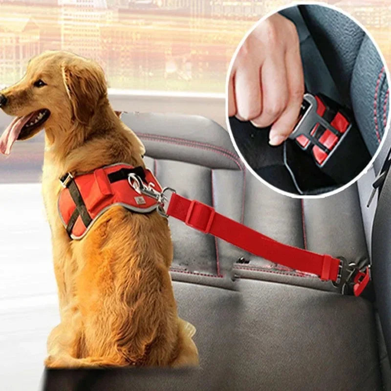 Laisse protection voiture pour chiens